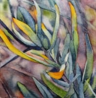 Sage Notes: Blues and Golds - Catherine Macaulay
