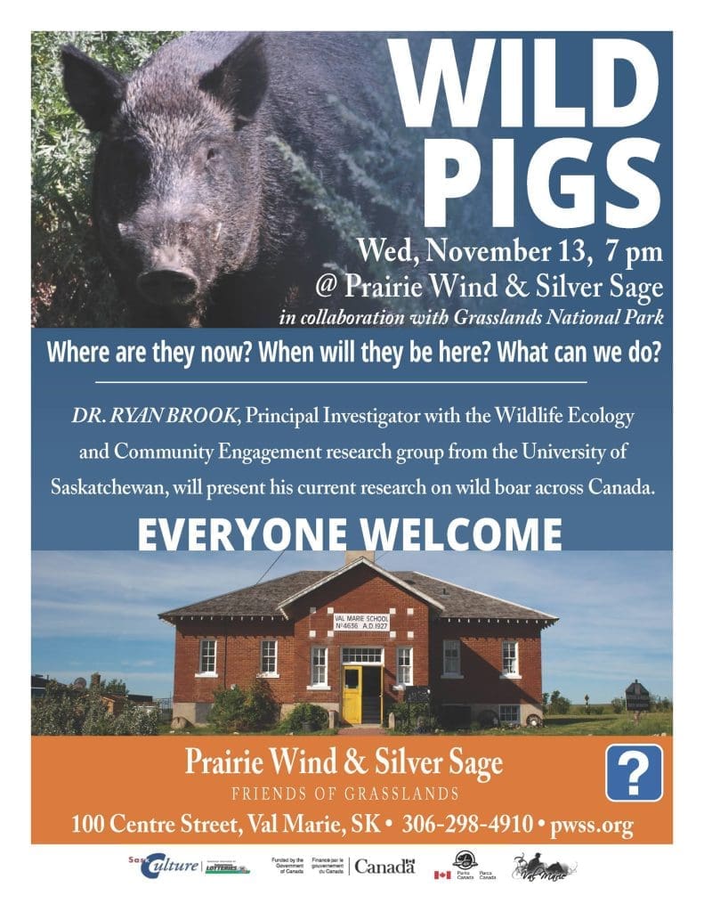 Wild Pigs in Sask with Dr. Ryan Brook Nov 13, 2019 at PWSS