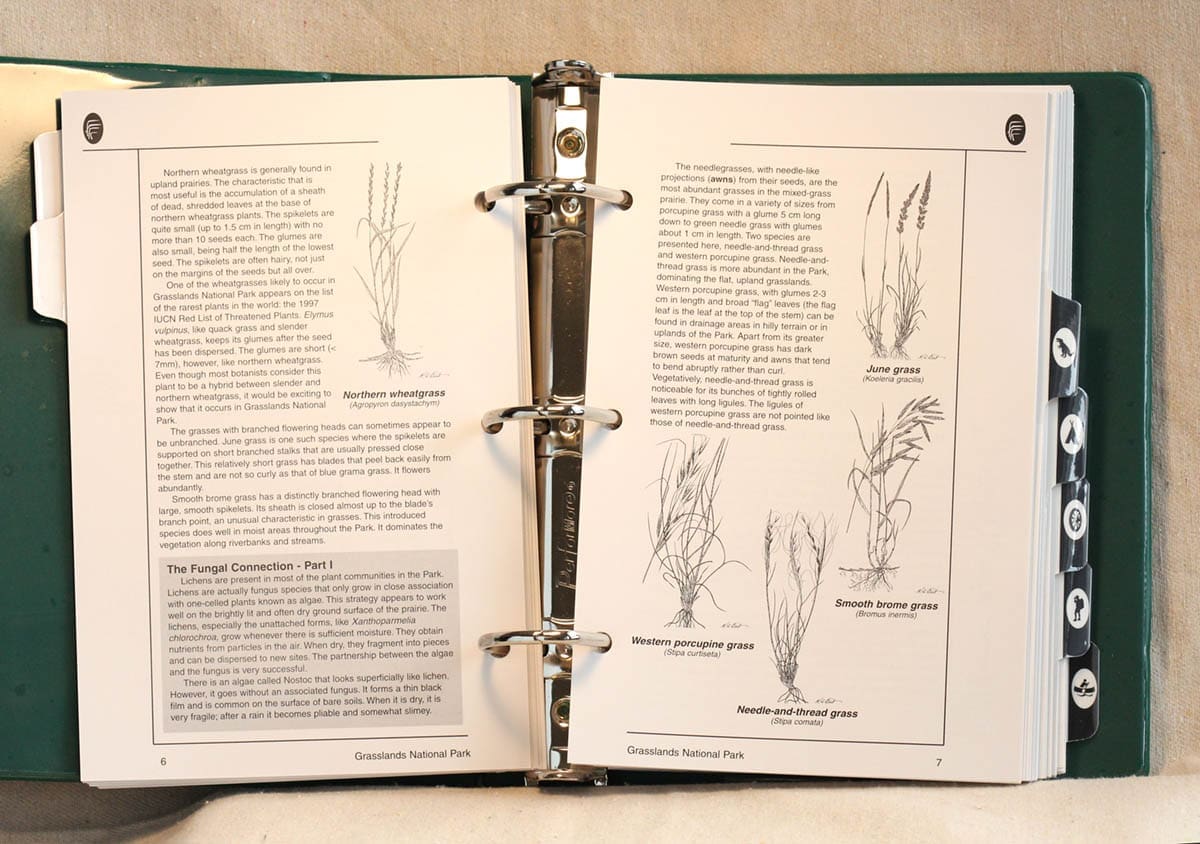 Grasslands National Park Field Guide - Grass Identification