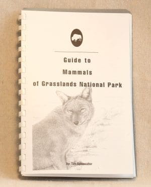 Guide to Mammals of Grasslands National Park