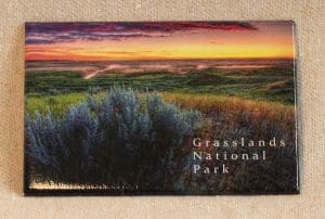 Robert Postma Magnet Sagebrush in Grasslands National Park