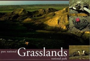 An Evening Calm - Grasslands National Park Postcard