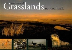 Evening on the Prairie - Grasslands National Park Postcard