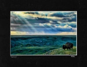 Sentinel Matted Print - Robert Postma