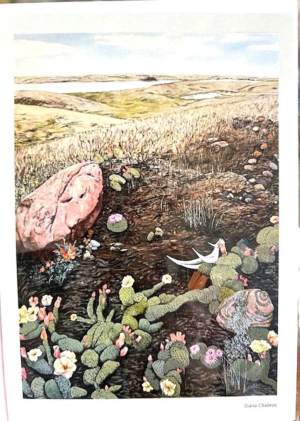 Diana Chabros - Cactus blooming Notecard