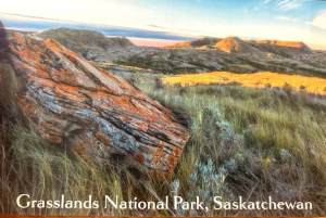 GNP Sask Postcard Robert Postma