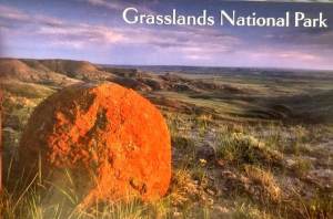 Red Rock Grasslands National Park Postcard Robert Postma