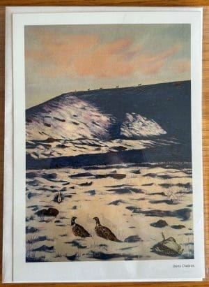 The Silence is Deafening: Ode to Rachel Carson Note Card - Diana Cabros