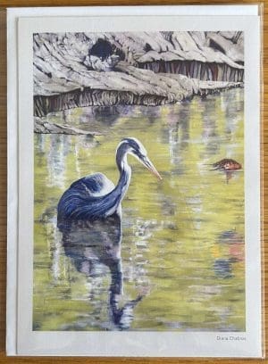 Great Blue Heron Note Card - Diana Chabros