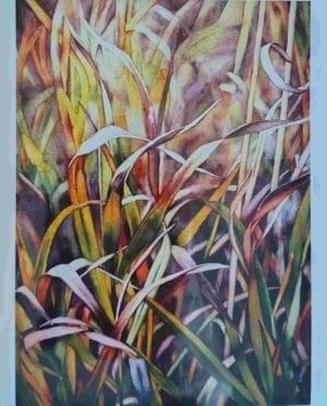 Grasses in Autumn Note Card - Catherine Macaulay