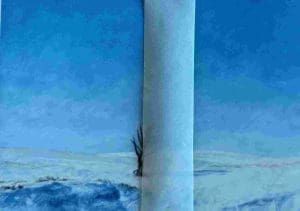 Winter Tree Note Card - Laureen Marchand