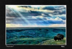 Bison Sentinel Small Matted Print