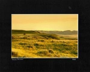 Golden Stillness Robert Postma