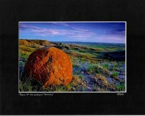 Relic of the Endless Prairies