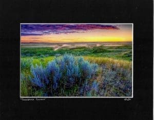 Sagebrush Matte Print