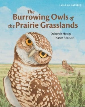 The Burrowing Owl of the Prairie Grasslands Front Cover