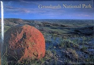 Relic of the endless Prairie Magnet