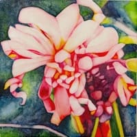 Catherine Macaulay -  A Full Life #2