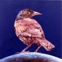 Laureen Marchand - World Without End: Grackle Gleaming