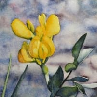 Prairie Notes: Golden Bean - Catherine Macaulay