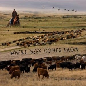 Where Beef Comes From