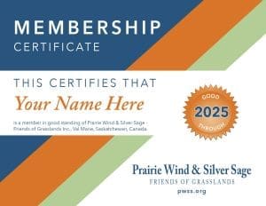 Membership Certificate