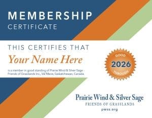 Membership Certificate