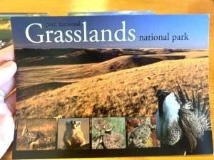 A Protected Habitat - GNP Postcard