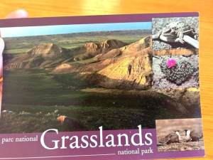 A Summers Day - GNP Postcard