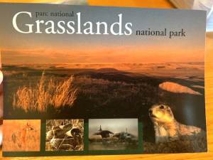 Evening Calm - GNP Postcard