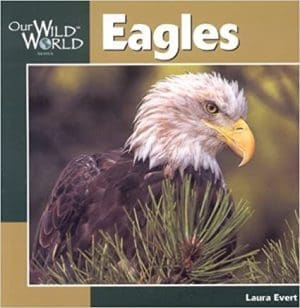 Eagles (Our Wild World) By Laura Evert