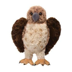 Orion Red Tailed Hawk By Douglas