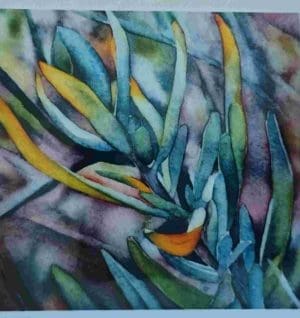 Blue and Gold Note Card - Catherine Macaulay