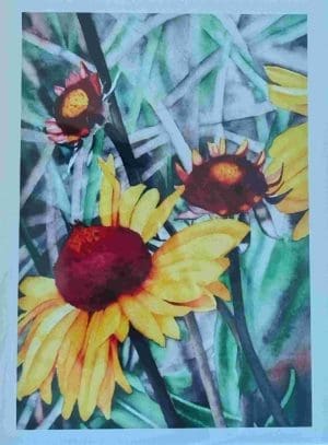 Gaillardia Note Card - Catherine Macaulay