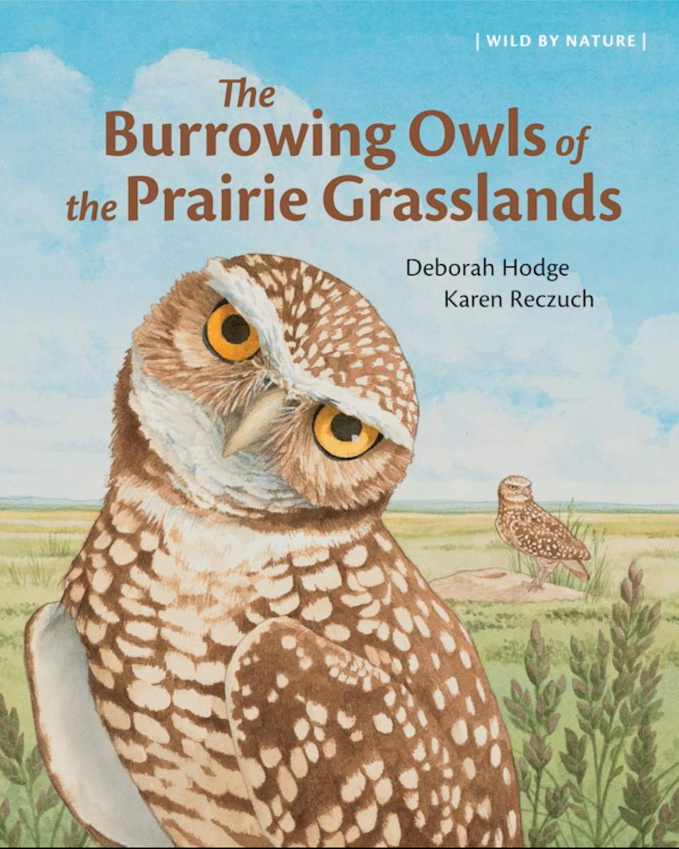 The Burrowing Owl of the Prairie Grasslands Front Cover