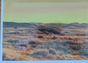 Golden Stillness Notecard