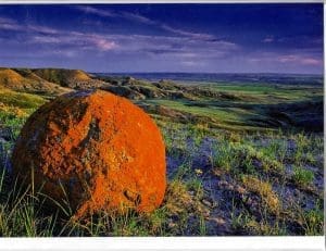 Robert Postma - Relic of the Endless Prairies - Note Card
