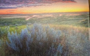 Sagebrush Sunrise Canvas